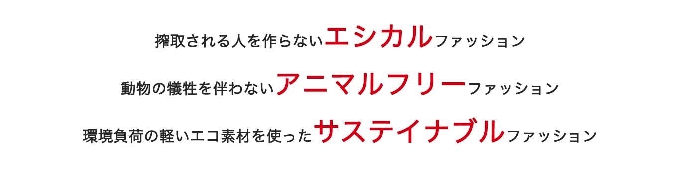 靴下から始まる世界平和 アニマルフリーファッションで動物を救いたい Campfire キャンプファイヤー