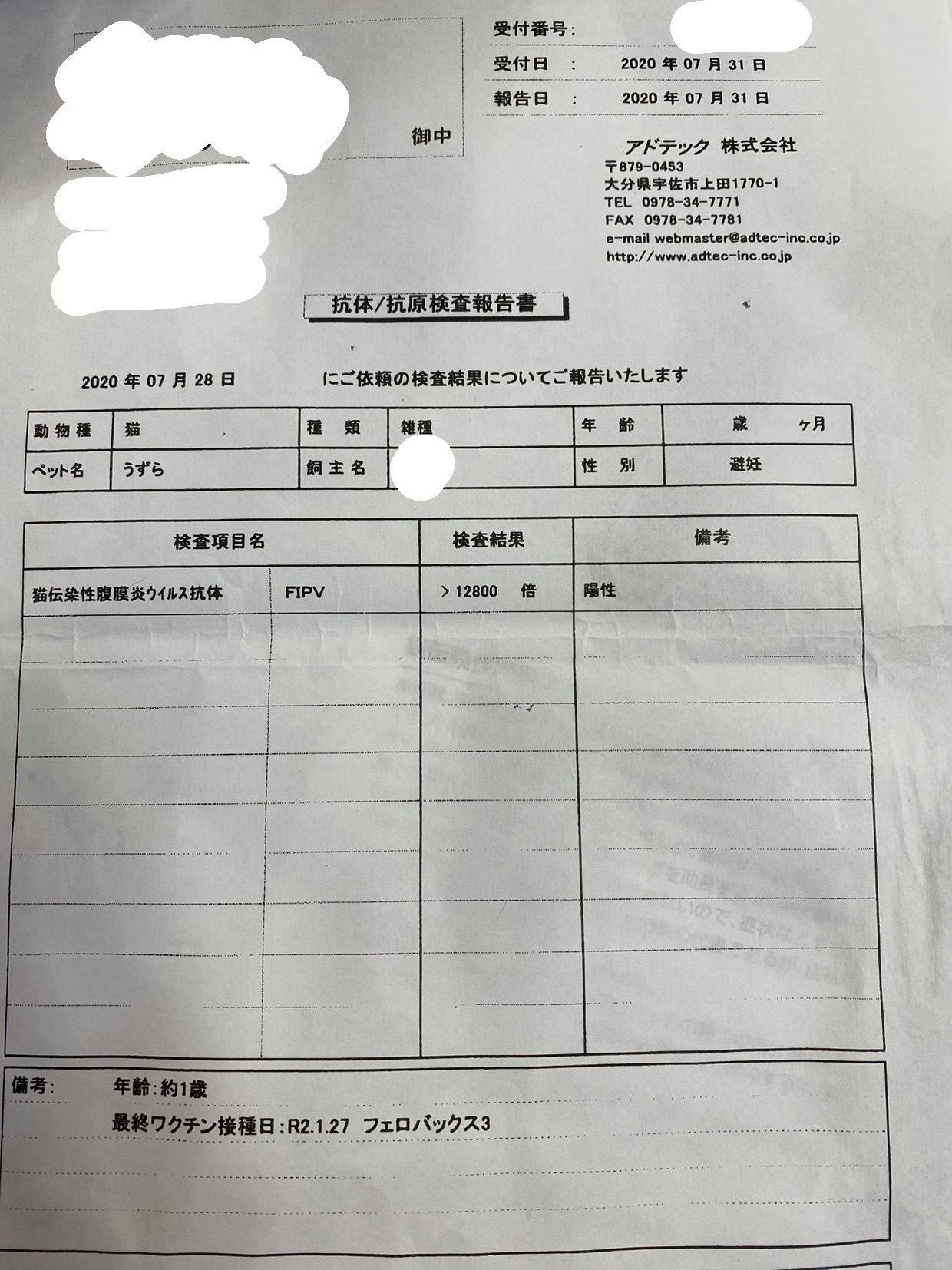 どうか助けて下さい 愛猫うずらの猫伝染性腹膜炎 Fip の治療費ご協力のお願い Campfire キャンプファイヤー どうか助けて下さい 愛猫うずらの猫伝染性腹膜炎 Fip の治療費ご協力のお願い Campfire キャンプファイヤー