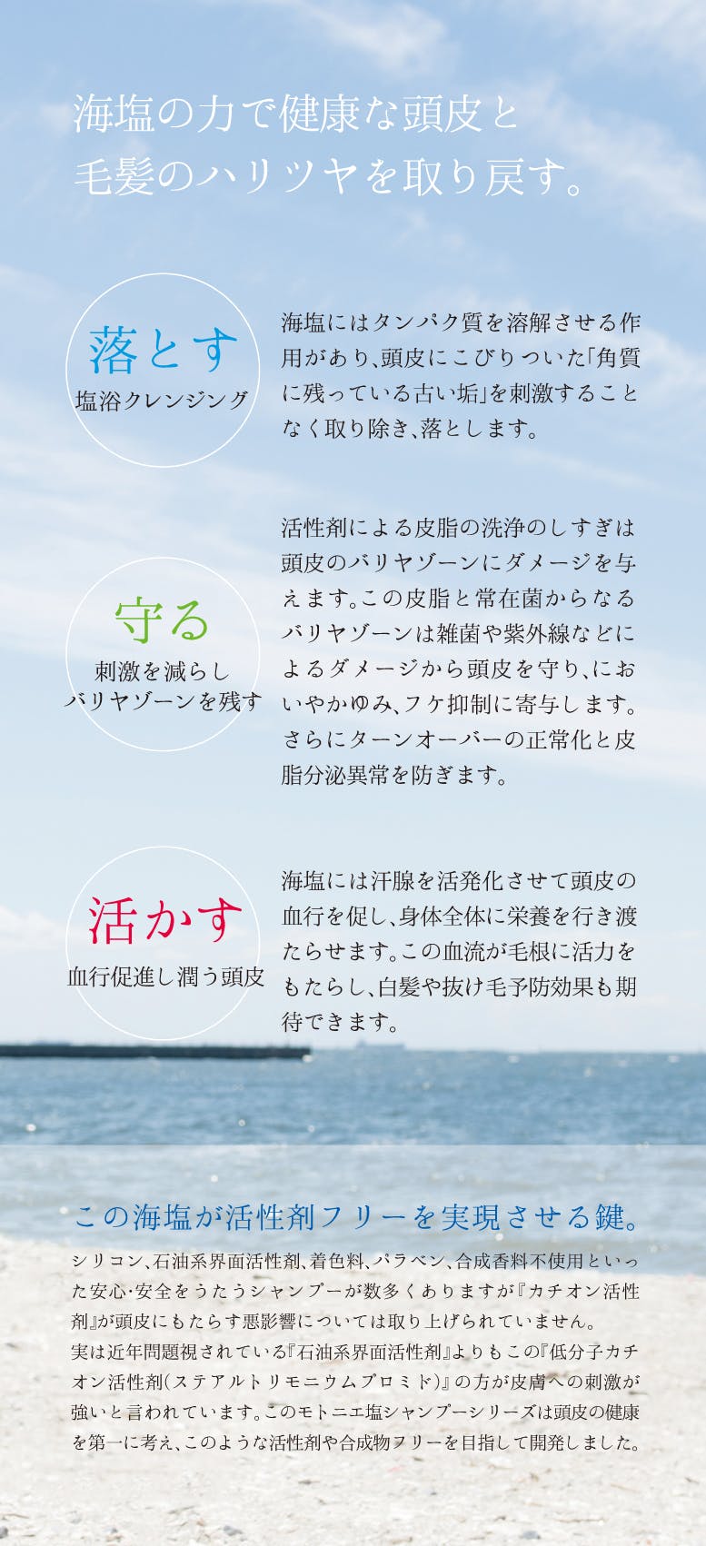 海塩 が今までのシャンプーの常識を変える もうシャンプーで迷わない Campfire キャンプファイヤー 海塩 が今までのシャンプーの常識を変える もうシャンプーで迷わない Campfire キャンプファイヤー
