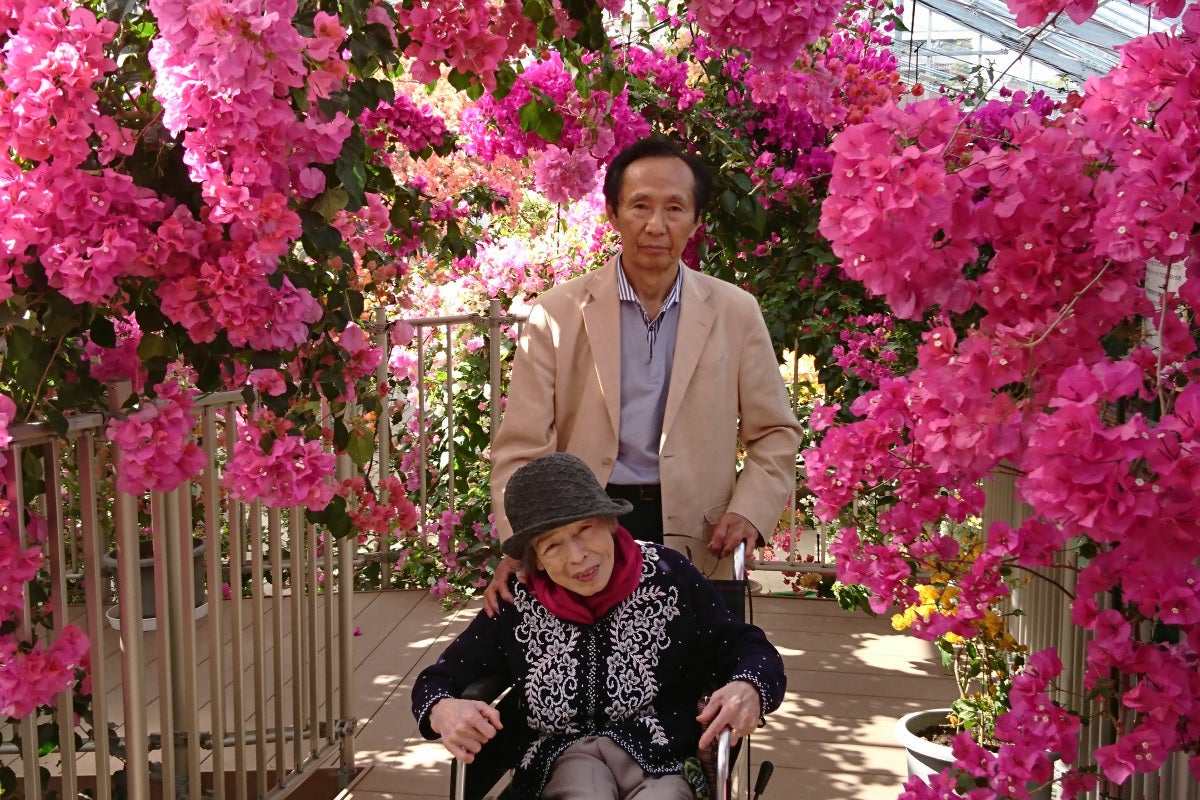 売上ゼロで閉園の危機！国内最大級ブーゲンビリアの花園救済支援