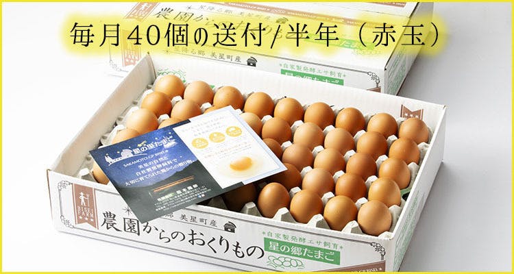 1620円 【95%OFF!】 日常の食材 卵を大量でお届け 鶏卵 Lサイズ1箱20パック入 1620円 【95%OFF!】 日常の食材 卵を大量でお届け 鶏卵 Lサイズ1箱20パック入