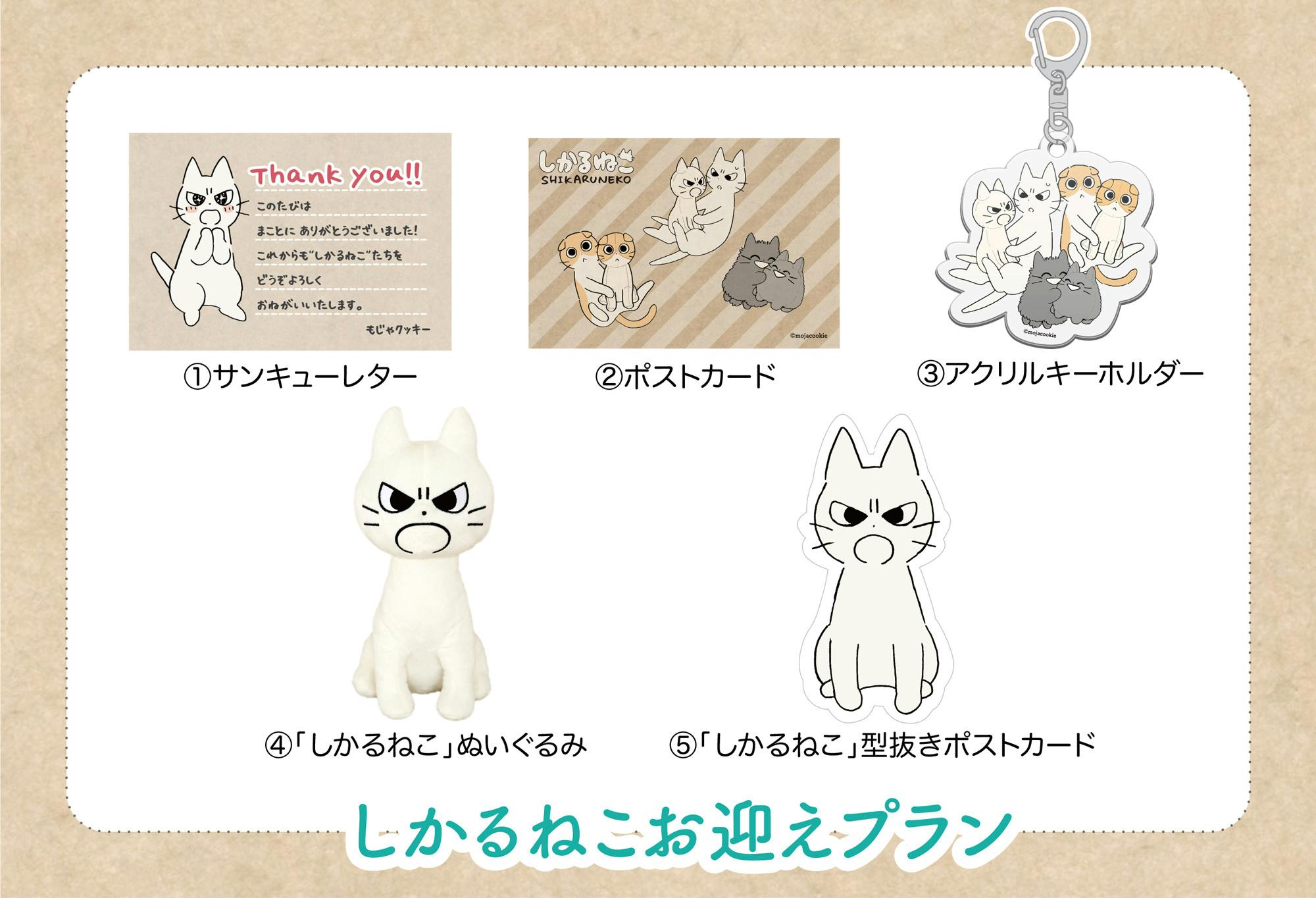 しかるねこたちのおすわりぬいぐるみプロジェクト Campfire キャンプファイヤー しかるねこたちのおすわりぬいぐるみプロジェクト Campfire キャンプファイヤー