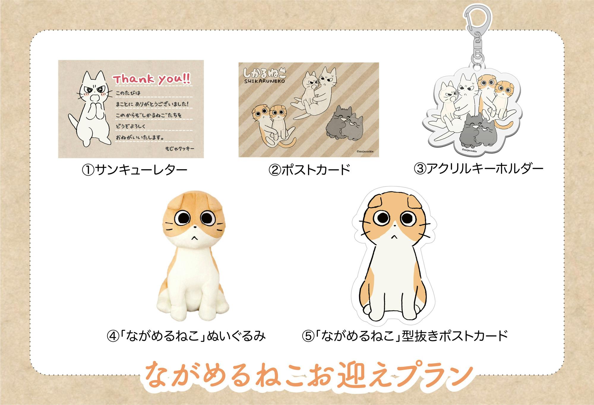しかるねこたちのおすわりぬいぐるみプロジェクト Campfire キャンプファイヤー しかるねこたちのおすわりぬいぐるみプロジェクト Campfire キャンプファイヤー