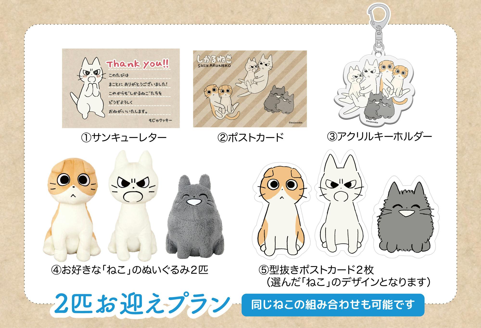 しかるねこたちのおすわりぬいぐるみプロジェクト Campfire キャンプファイヤー