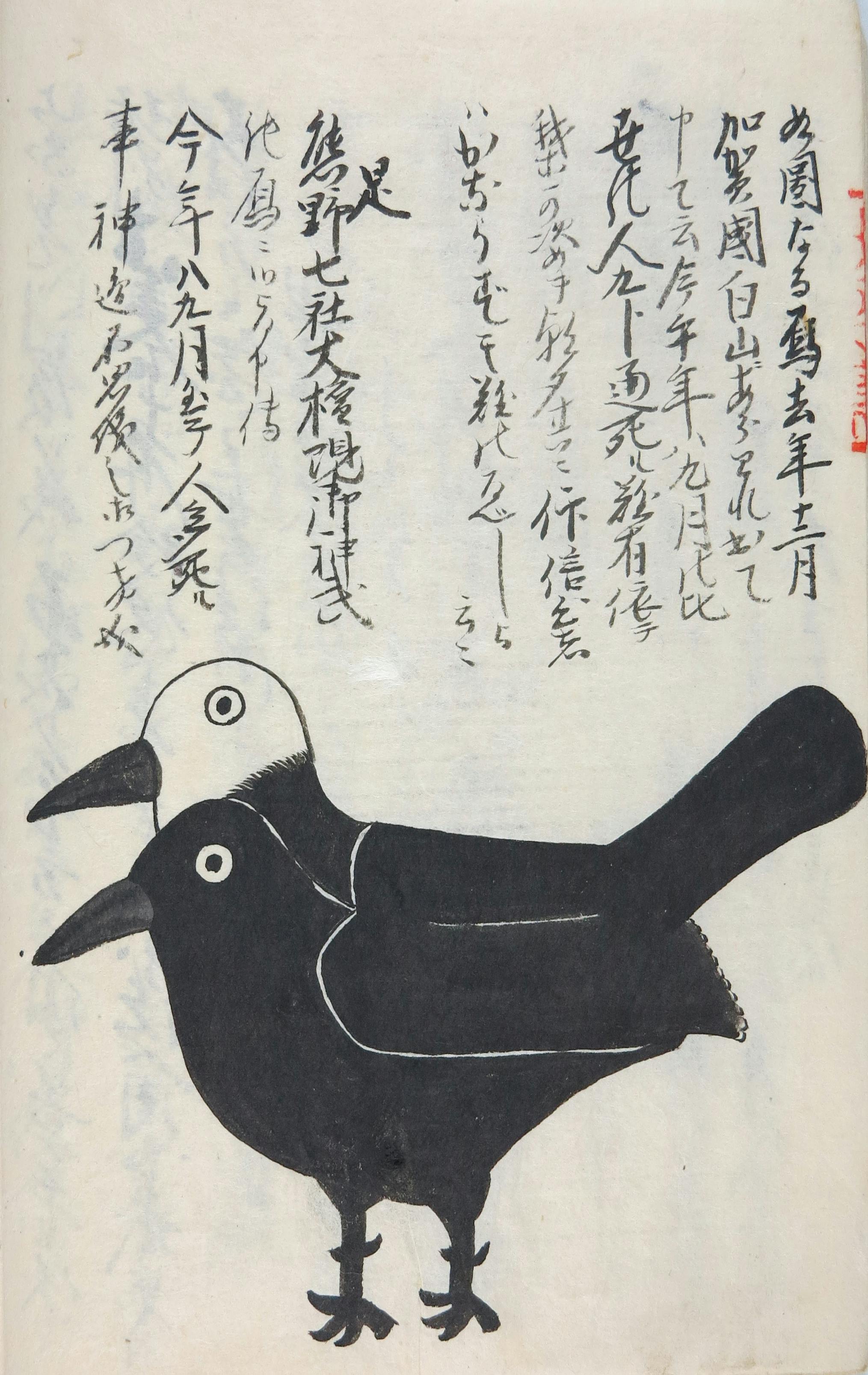 歌手デビュー 疫病退散 ヨゲンノトリ音頭 プロジェクト Campfire キャンプファイヤー 歌手デビュー 疫病退散 ヨゲンノトリ音頭 プロジェクト Campfire キャンプファイヤー