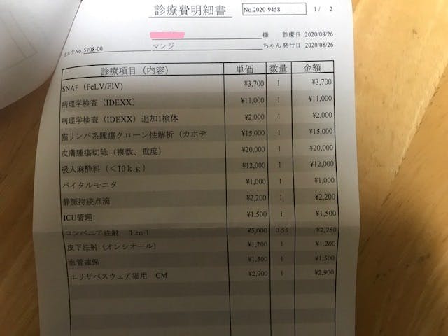 悪性リンパ腫との闘病費用をご支援ください Campfire キャンプファイヤー