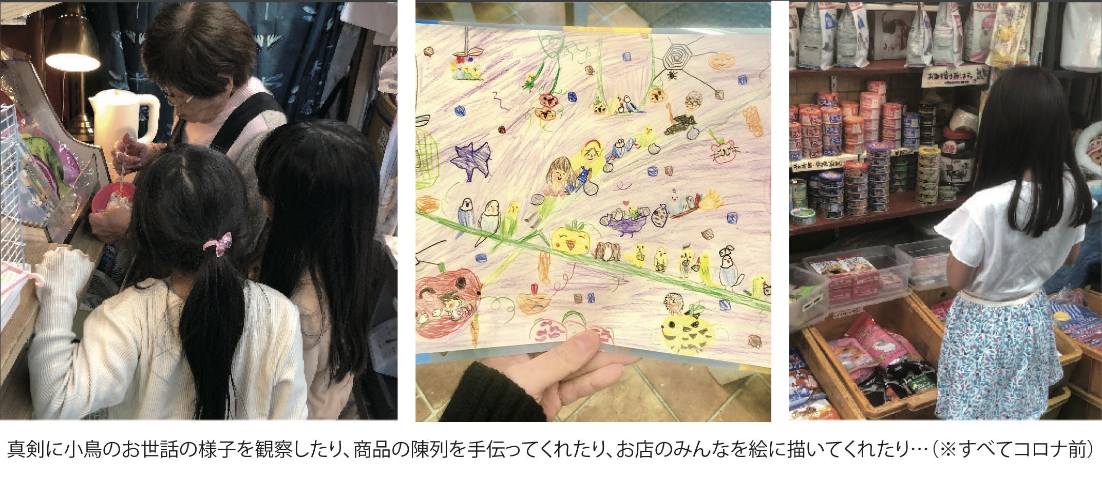 我が家のペット うちの子 グッズ オーダーメイドブランド Famille 始動 Campfire キャンプファイヤー 我が家のペット うちの子 グッズ オーダーメイドブランド Famille 始動 Campfire キャンプファイヤー