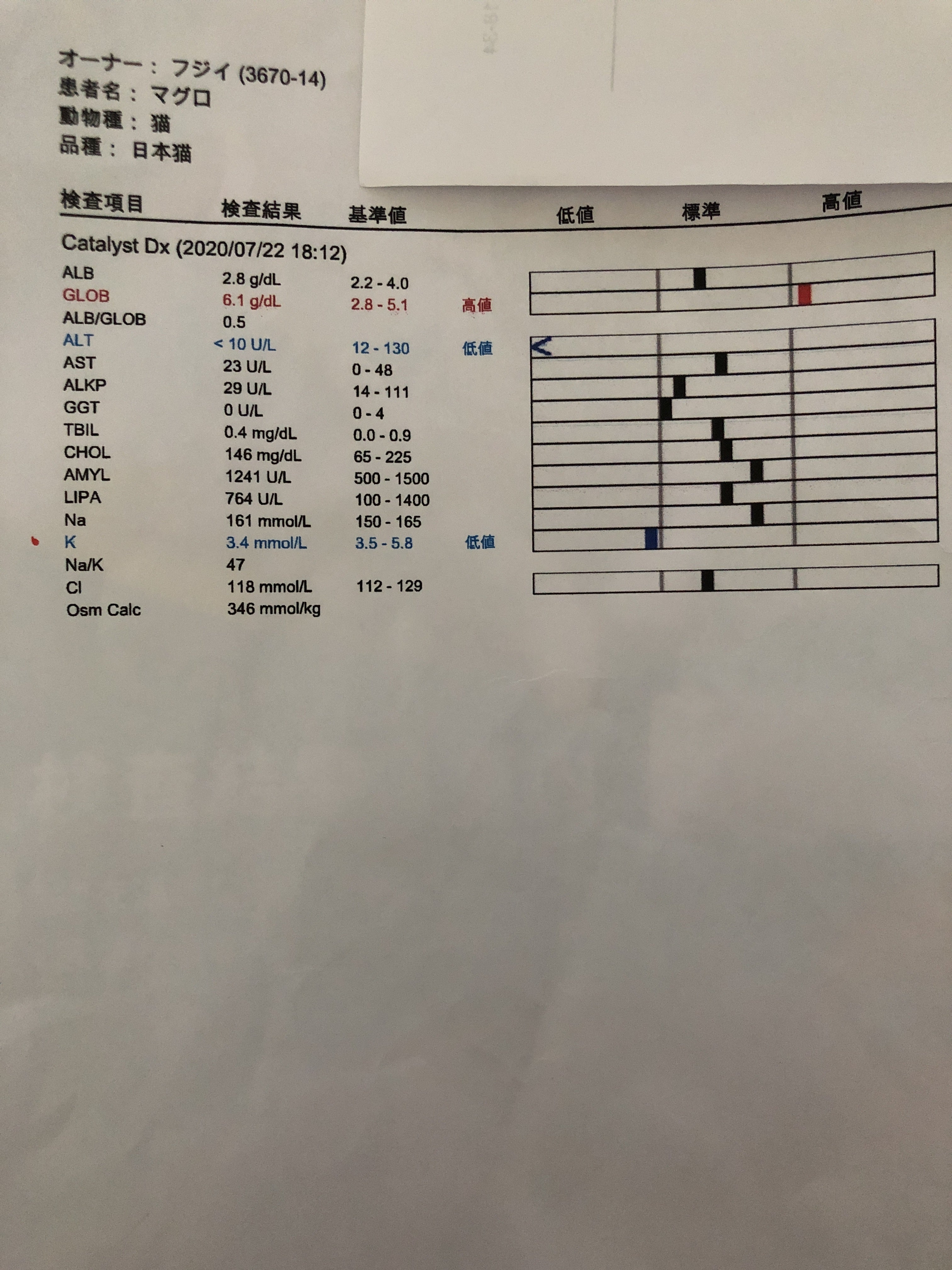 慢性腎不全のくみん、慢性腎不全、ウイルス性の病気のまぐろにご支援 