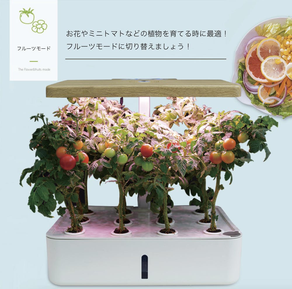 自動水やり 無農薬 野菜 果物 花を成長促進 スマートプランター 彩り Campfire キャンプファイヤー