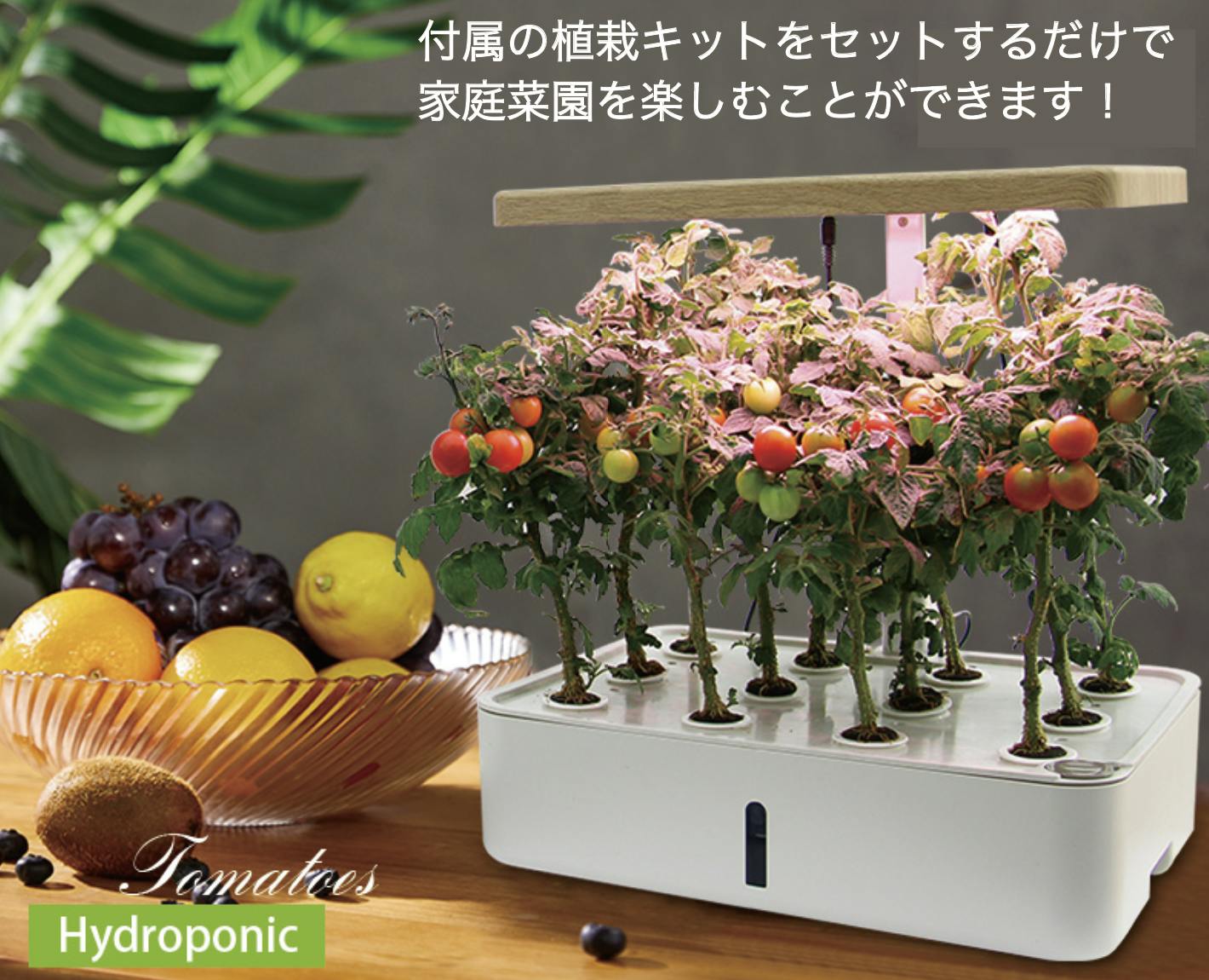 自動水やり 無農薬 野菜 果物 花を成長促進 スマートプランター 彩り Campfire キャンプファイヤー