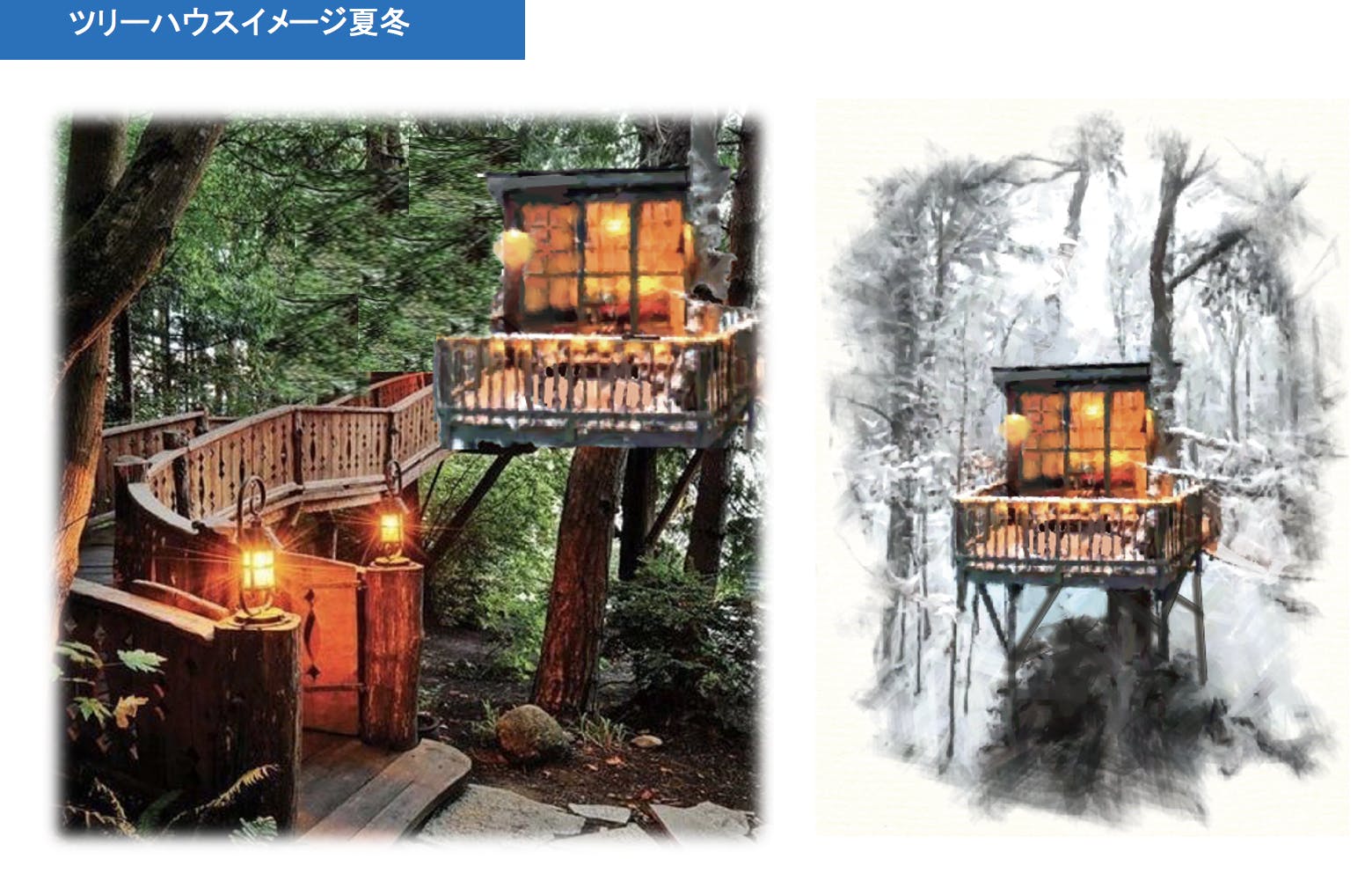 生き物が暮らす森の山とツリーハウスを作ろう 300年先の自然と生物多様性を守る Campfire キャンプファイヤー 生き物が暮らす森の山とツリーハウスを作ろう 300年先の自然と生物多様性を守る Campfire キャンプファイヤー