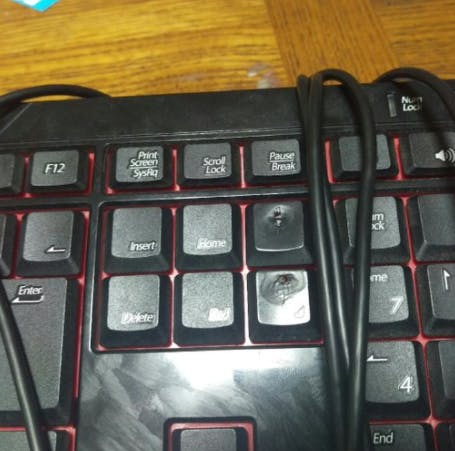 穴が開くほど愛されたキーボード Bfkb113pbk を再生産したい Campfire キャンプファイヤー 穴が開くほど愛されたキーボード Bfkb113pbk を再生産したい Campfire キャンプファイヤー