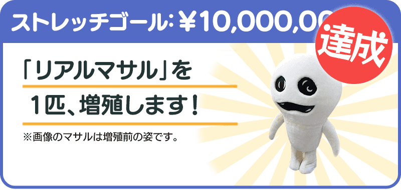 ストレッチゴール1000万円達成 リアルなめこに続きリアルマサルも増殖決定 Campfire キャンプファイヤー