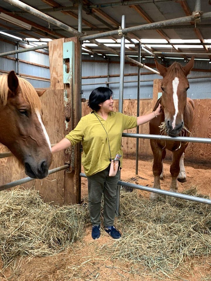 チャグチャグ馬コ共同馬主プロジェクト みんなの手で岩手の馬ッコを守りたい アクティビティ Campfire キャンプファイヤー