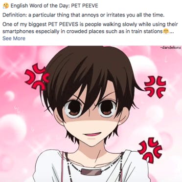 English Word Of The Day Pet Peeve Campfireコミュニティ