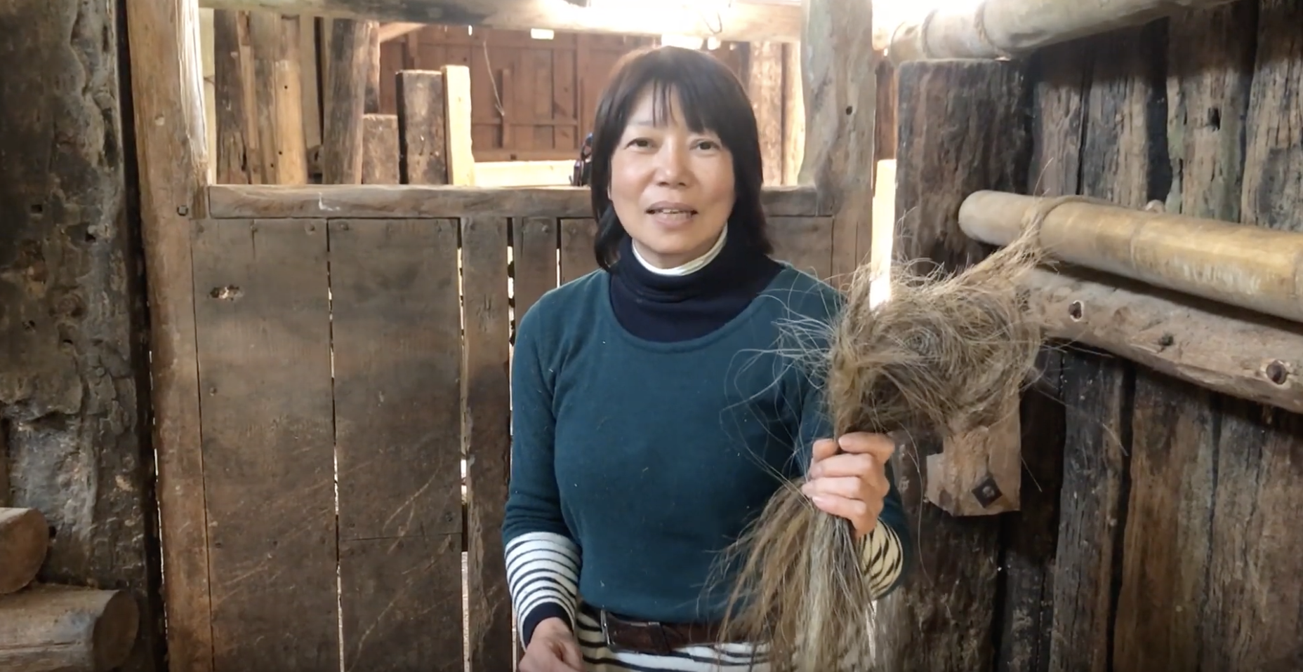 【人と馬との共生を目指して】希少馬 由美子の命を救い観光馬車を走らせたい!! CAMPFIRE (キャンプファイヤー)