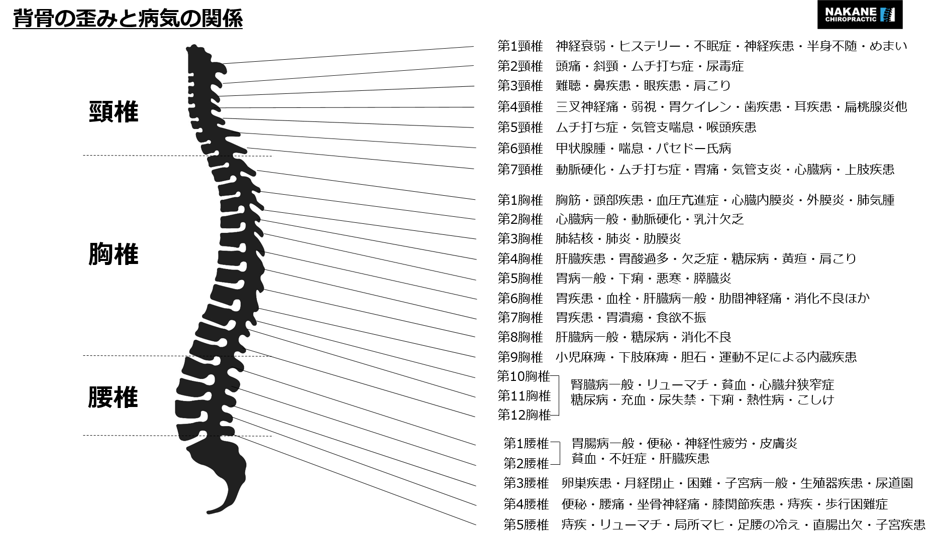 そもそもカイロプラクティックって何？？ ～その2～ - CAMPFIRE