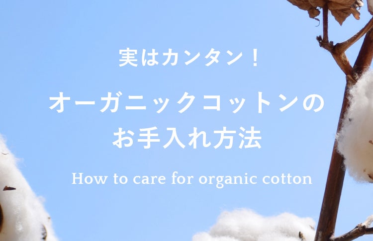 実はカンタン オーガニックコットンのお洗濯 Campfire キャンプファイヤー