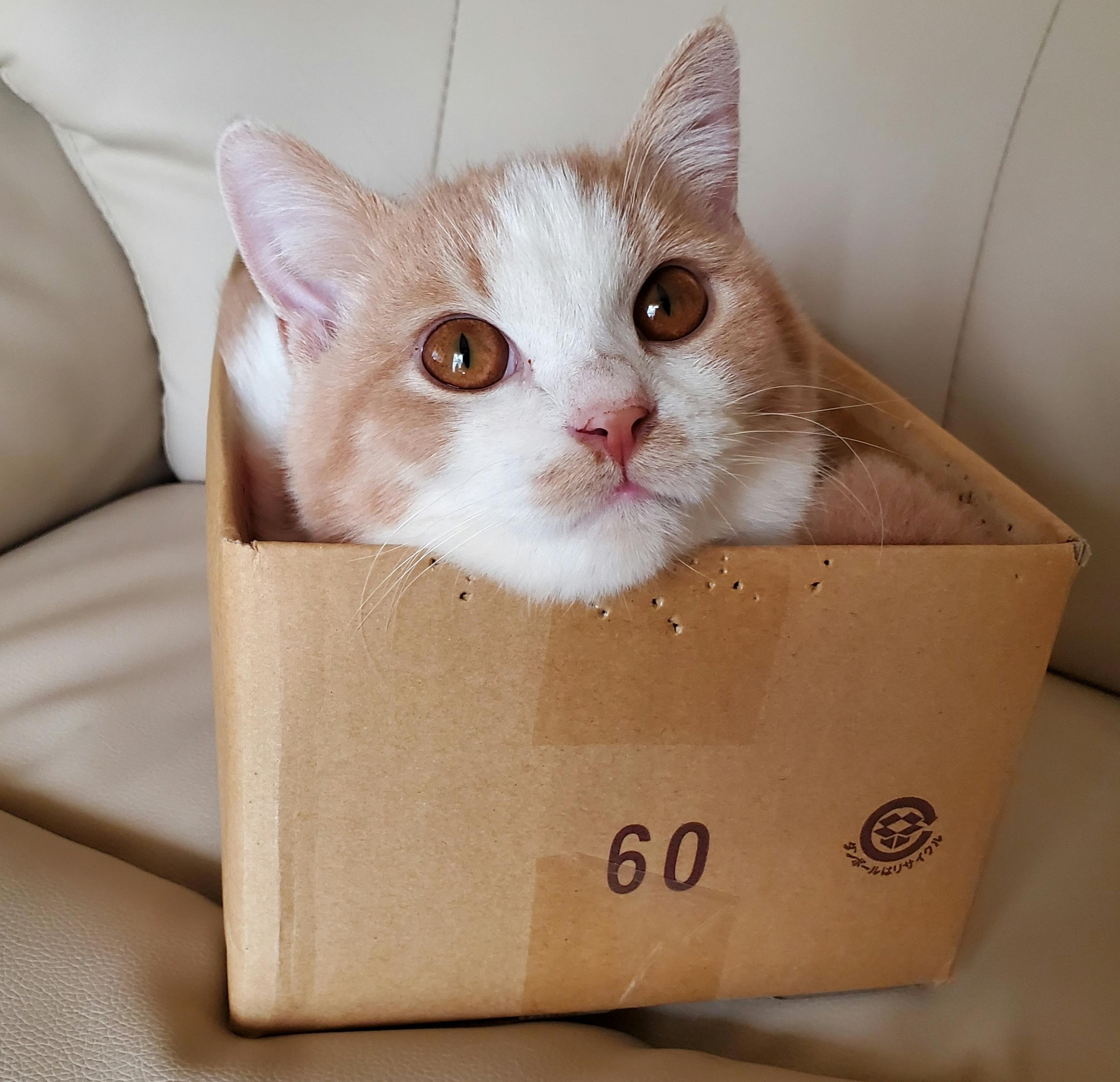 20200510_133024.jpg?ixlib=