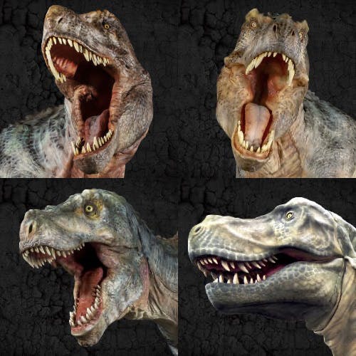 DINO-A-LIVEの恐竜紹介【ティラノサウルス】 - CAMPFIRE (キャンプ