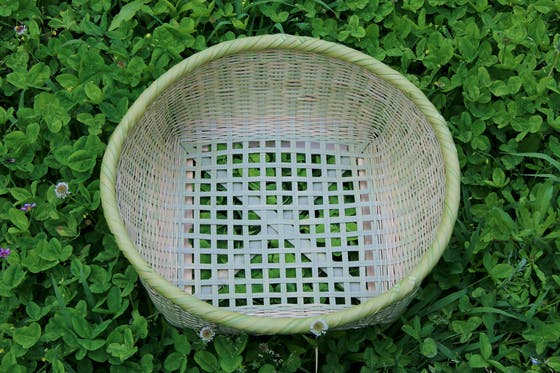 稲垣尚友さんのこと。 - CAMPFIRE (キャンプファイヤー)