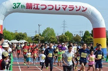 行政と市民の協働事業 つつじマラソンのコースにツツジの花を咲かせよう アクティビティ Campfire キャンプファイヤー