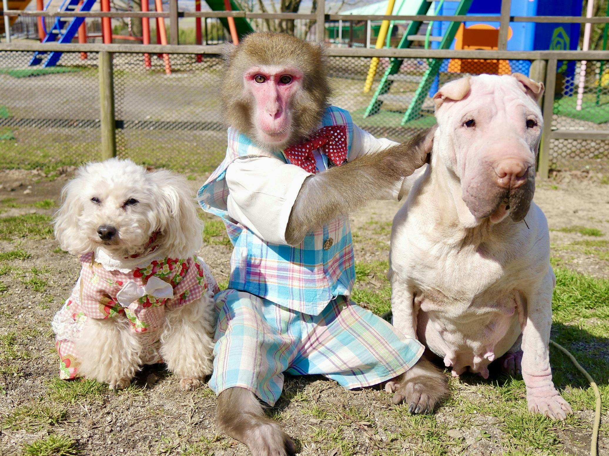 IMG_5452.JPG?ixlib=rails-2.1.4