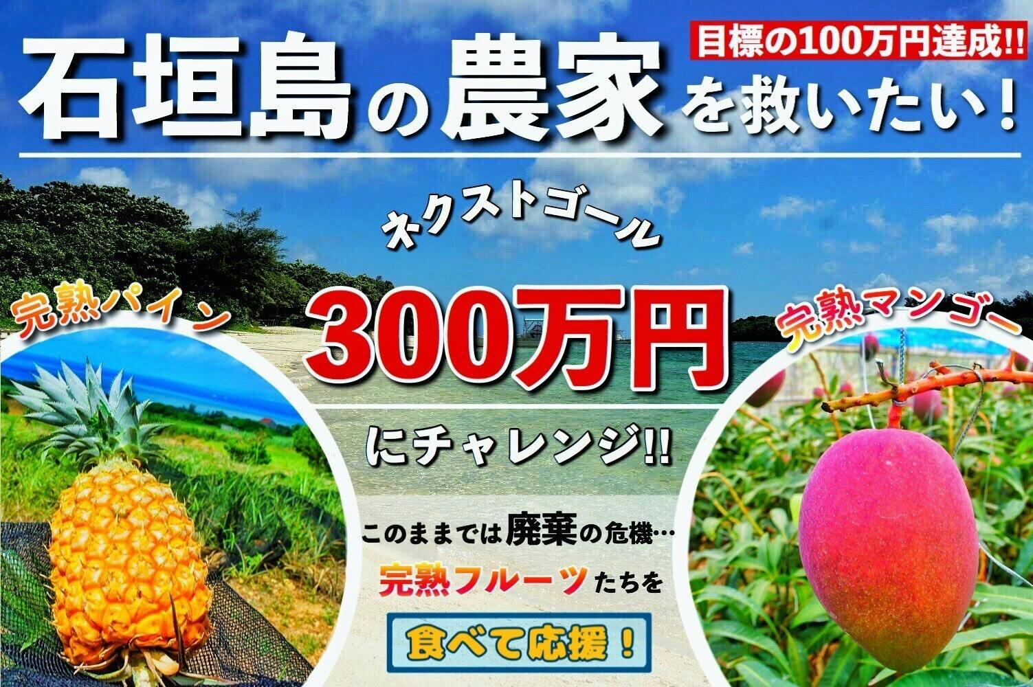 石垣島 パイン マンゴーを食べて応援 観光客激減で農家がコロナ危機 Campfire キャンプファイヤー 石垣島 パイン マンゴーを食べて応援 観光客激減で農家がコロナ危機 Campfire キャンプファイヤー