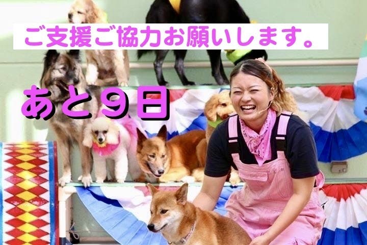 わんわんサーカス 松田千賀子より - CAMPFIRE (キャンプファイヤー)