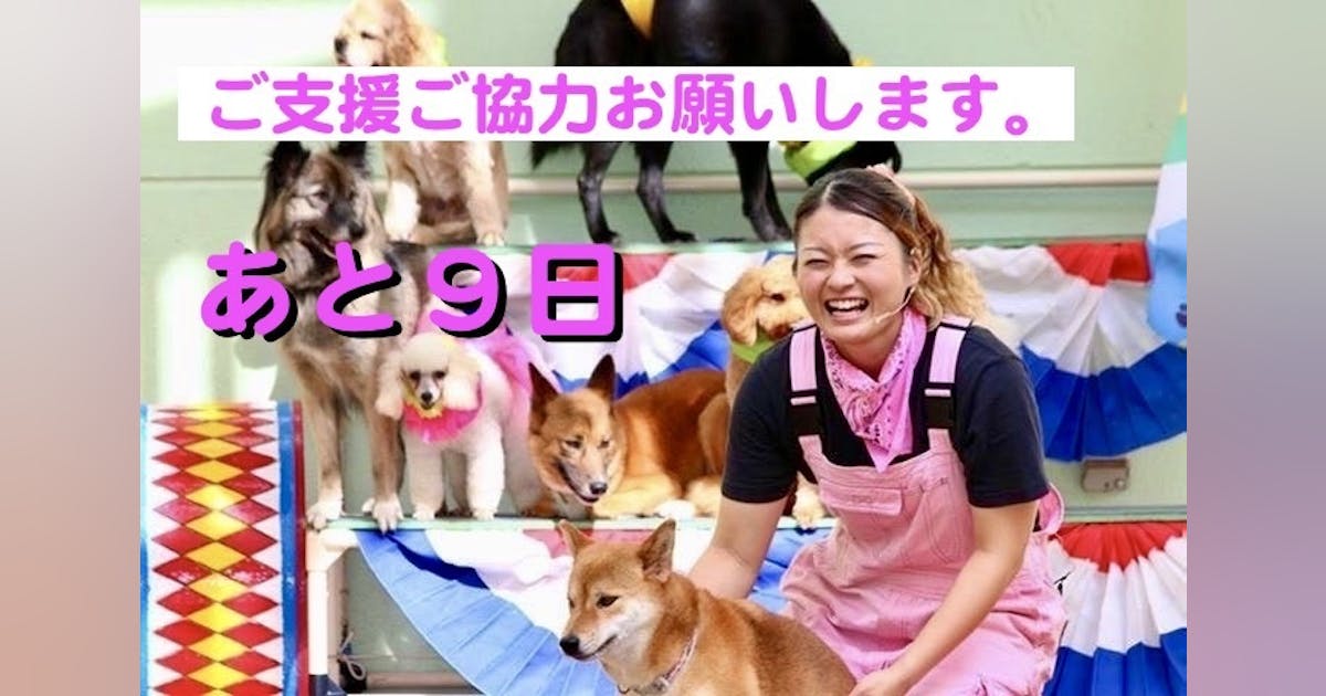 IMG_5651.jpeg?ixlib=rails-2.1. IMG_5651.jpeg?ixlib=rails-2.1.