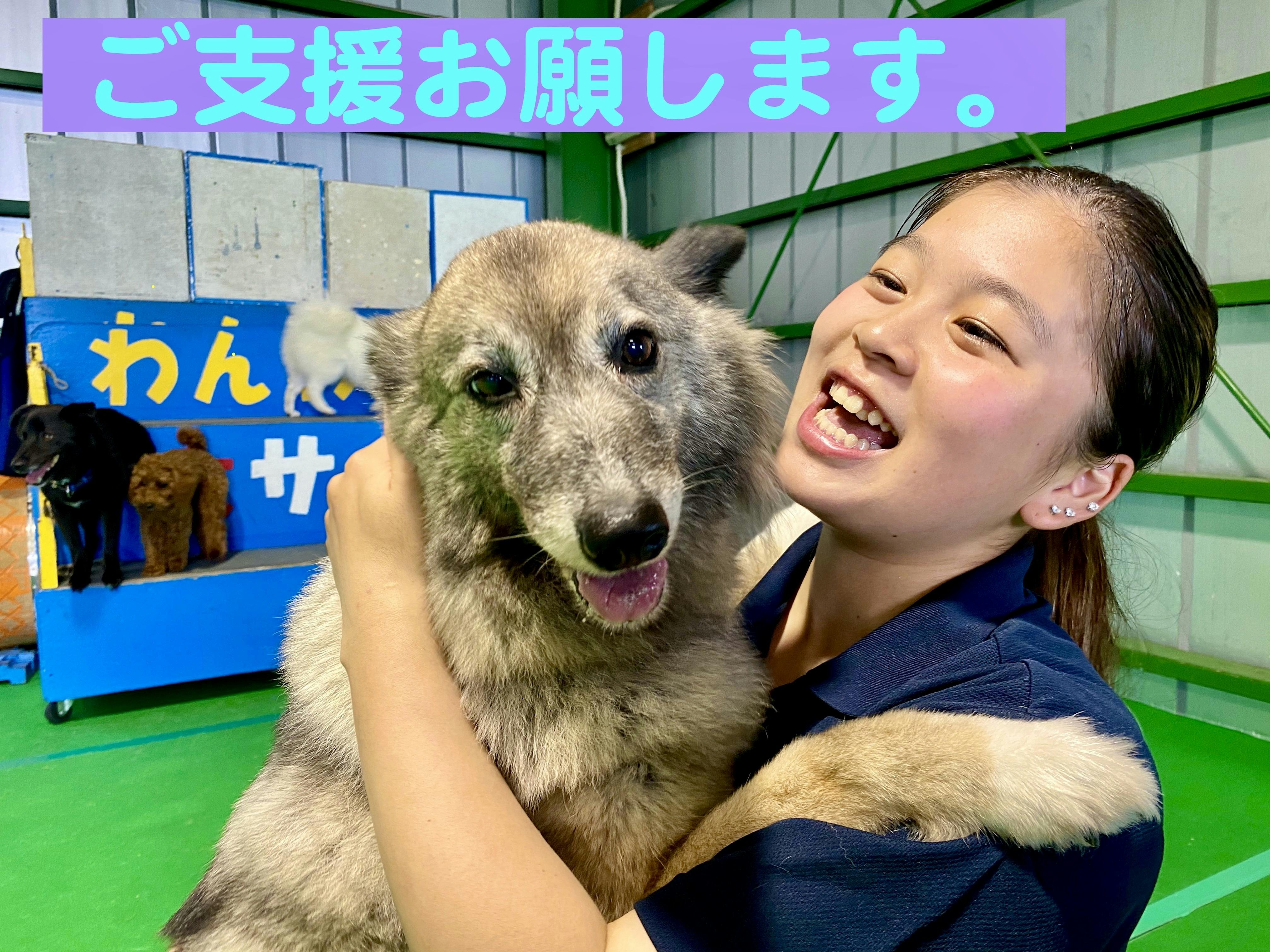 わんわんサーカス 増本紀香より - CAMPFIRE (キャンプファイヤー)