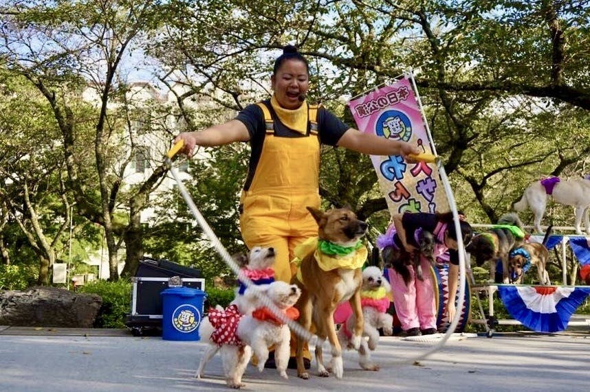 わんわんサーカス 川本幸より Campfire キャンプファイヤー