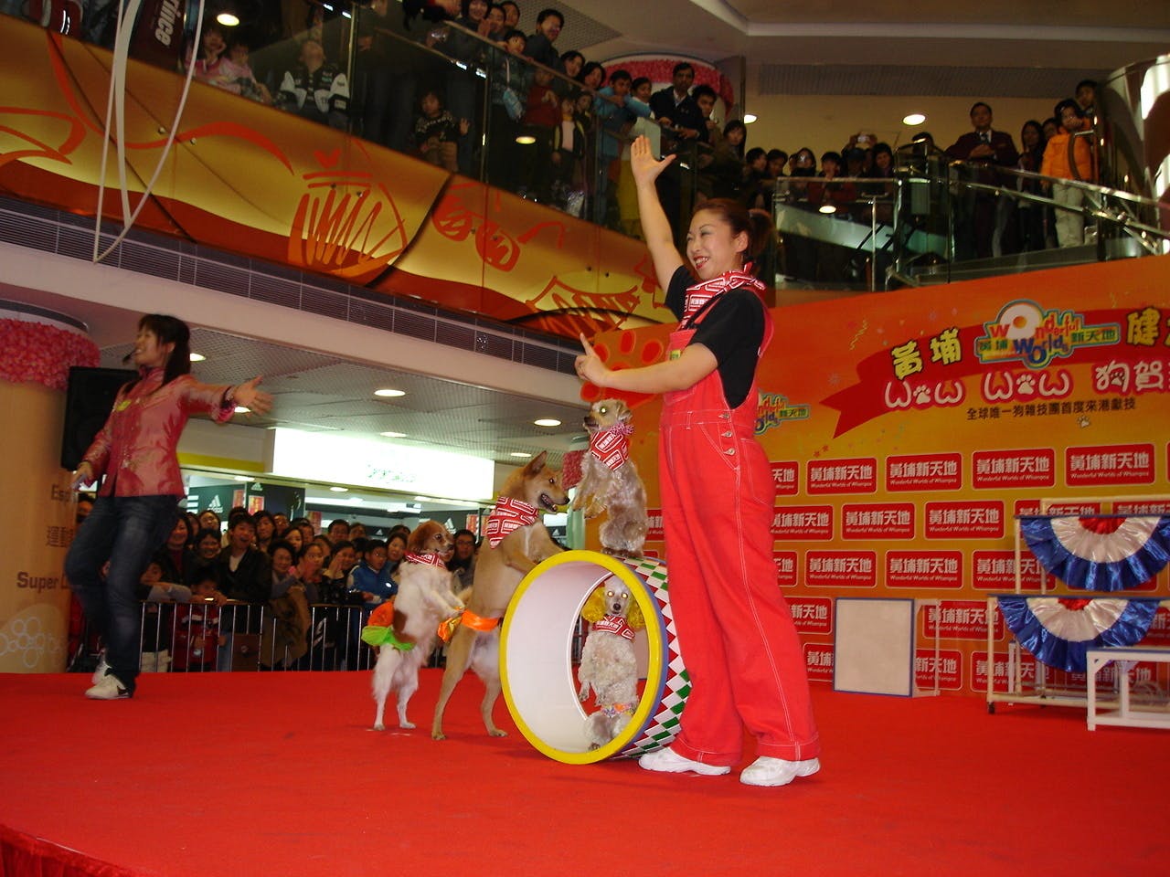 わんわんサーカス 内田志保より - CAMPFIRE (キャンプファイヤー)