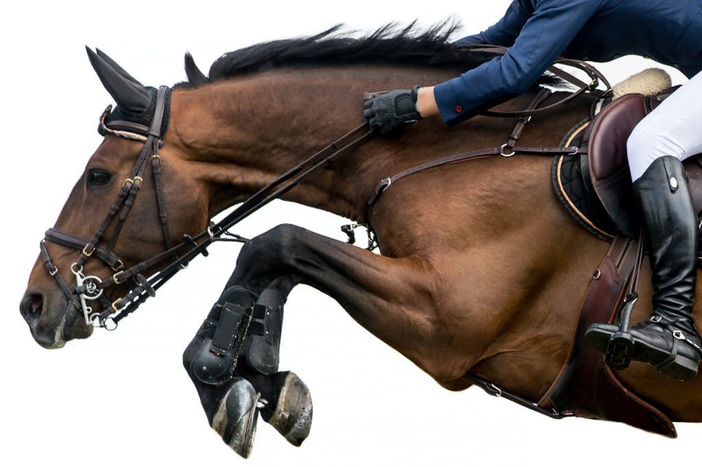 マルタンガール 胸ガイ 馬術 乗馬 馬具 サラブレッド 美品 障害馬術