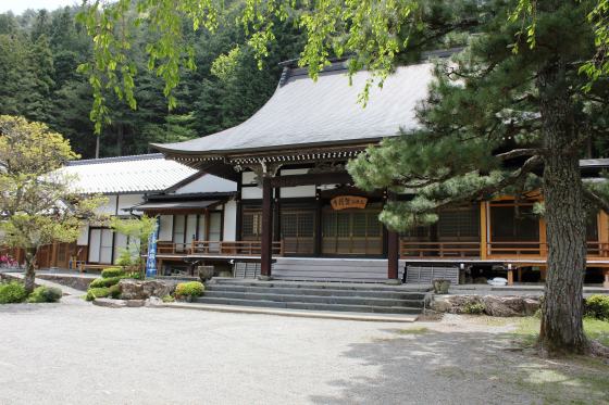The Maple Seed