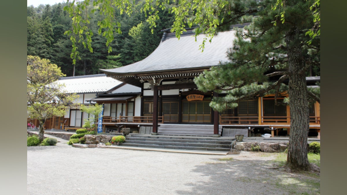 The Maple Seed