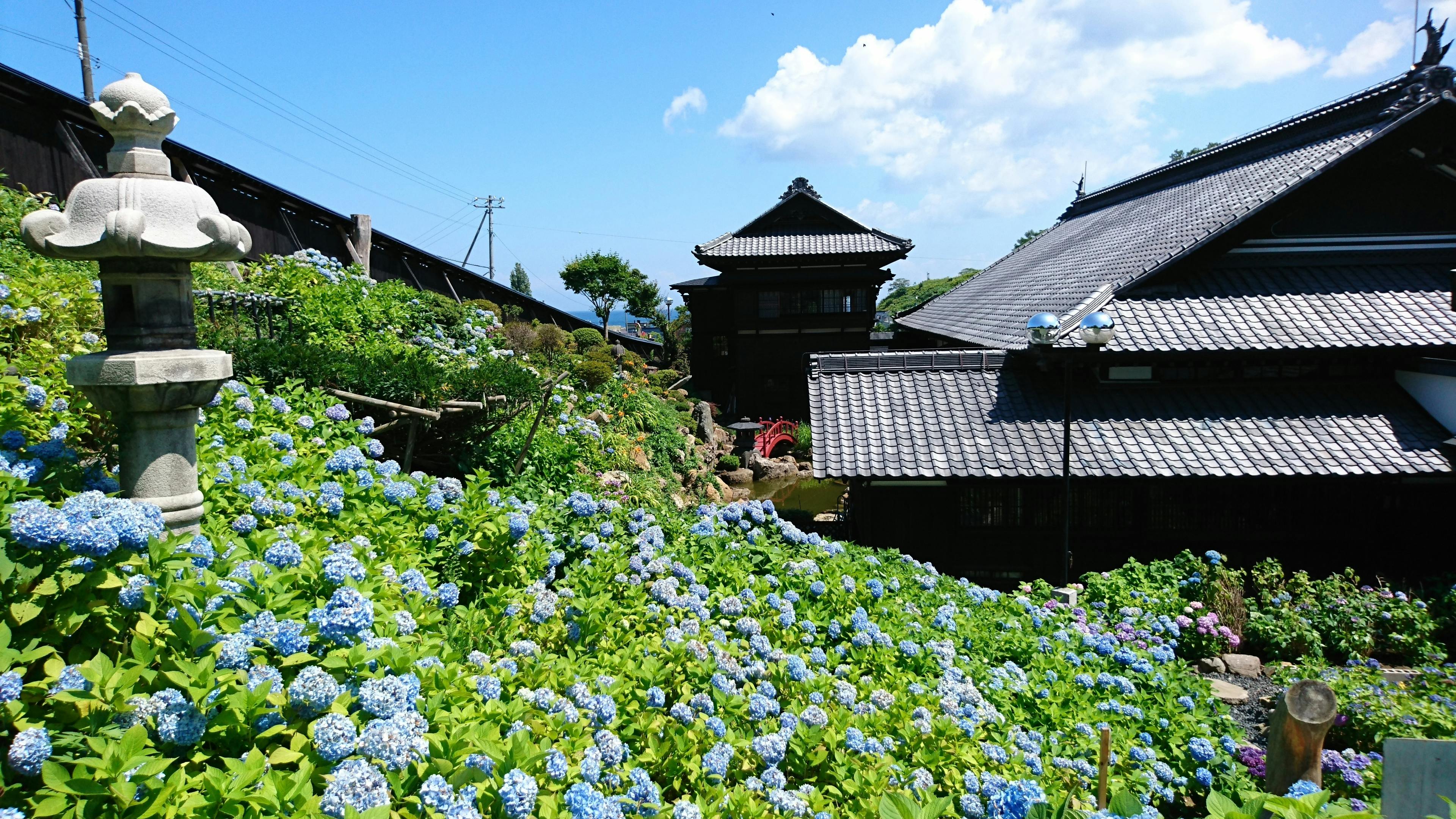 旧青山別邸 写真集 - 趣味