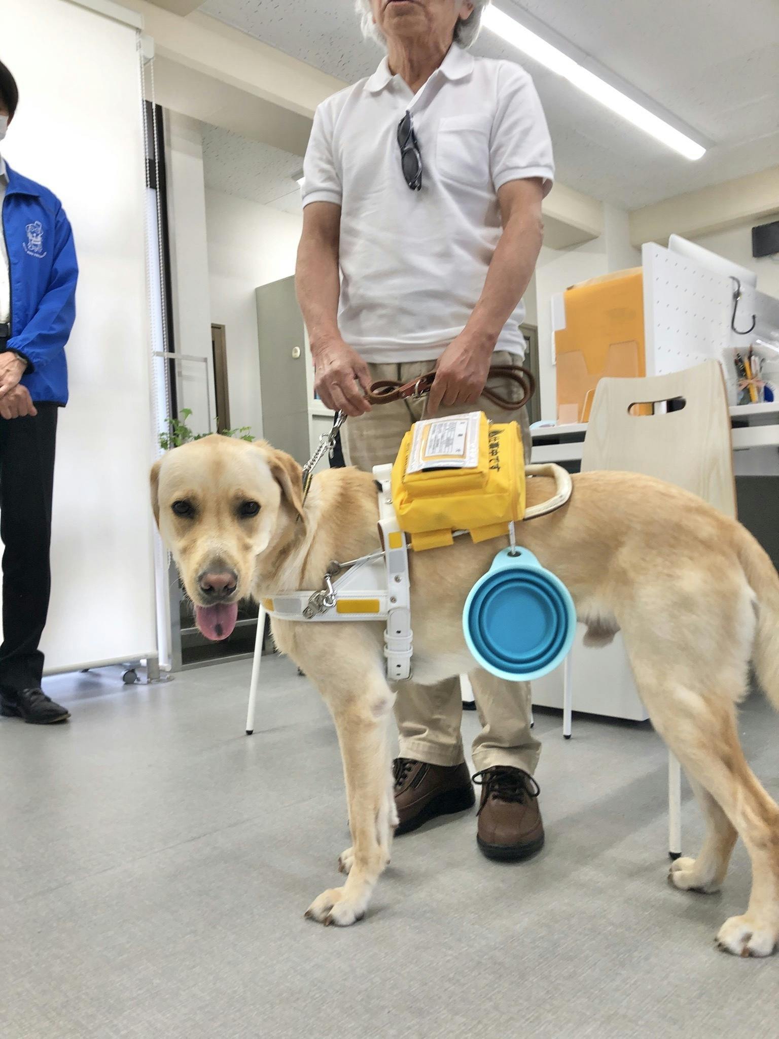 新たな盲導犬が来てくれました Campfire キャンプファイヤー