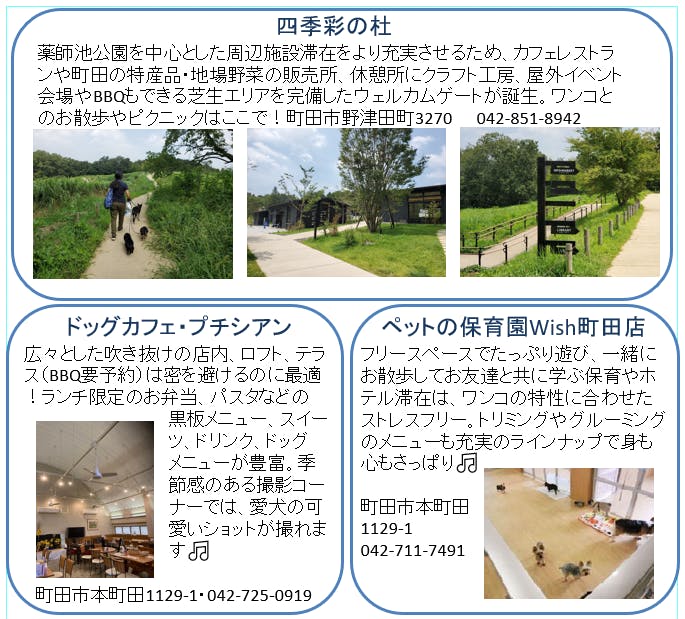 わんこと一緒におでかけ 町田 Campfire キャンプファイヤー