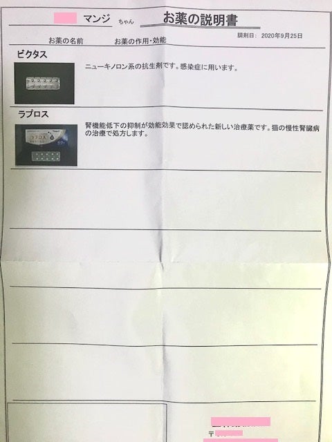 9/25 投薬を終えてのご報告です。 - CAMPFIRE (キャンプファイヤー)