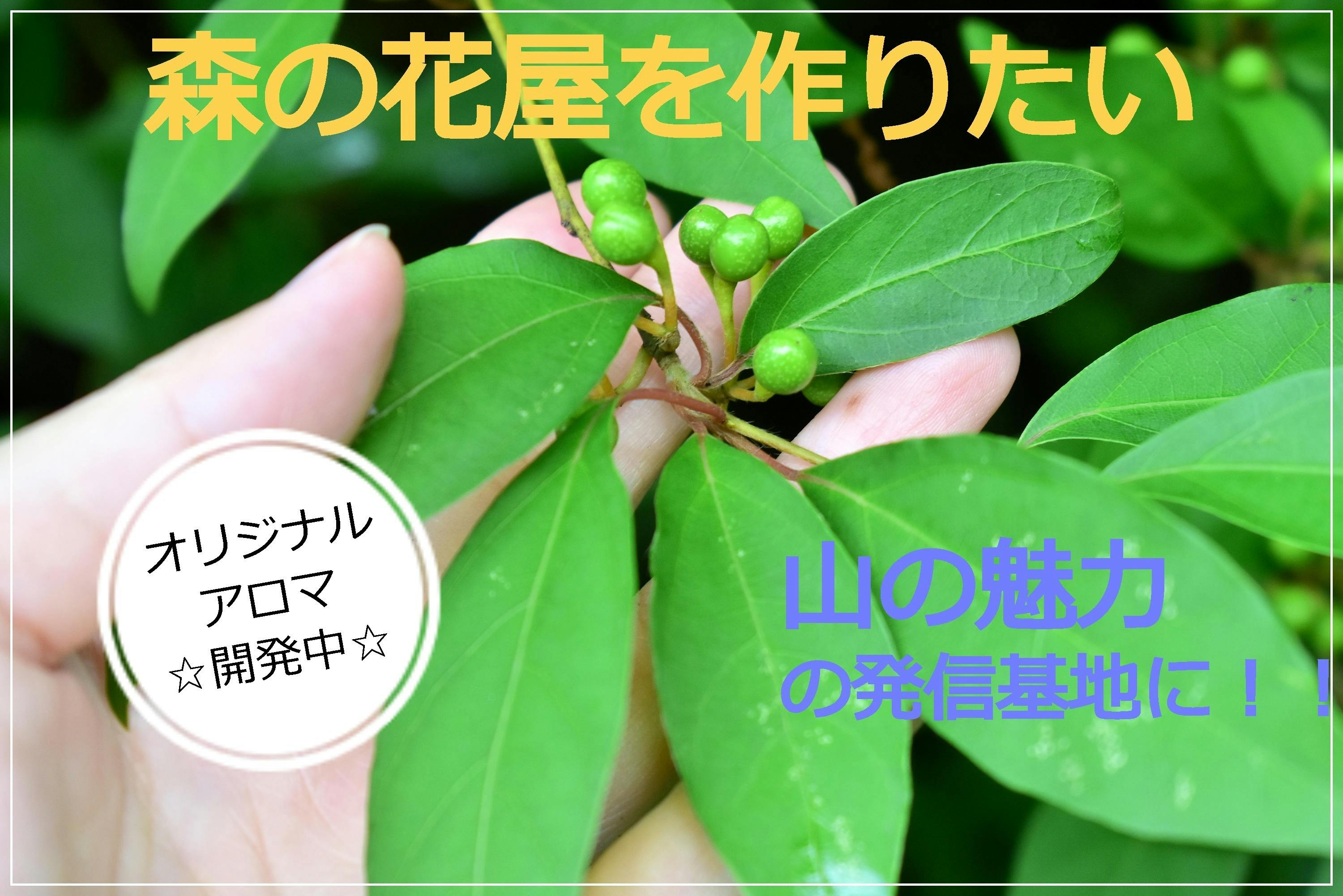 水害にもコロナにも負けない 山の魅力伝わる花屋を作りたい Campfire キャンプファイヤー