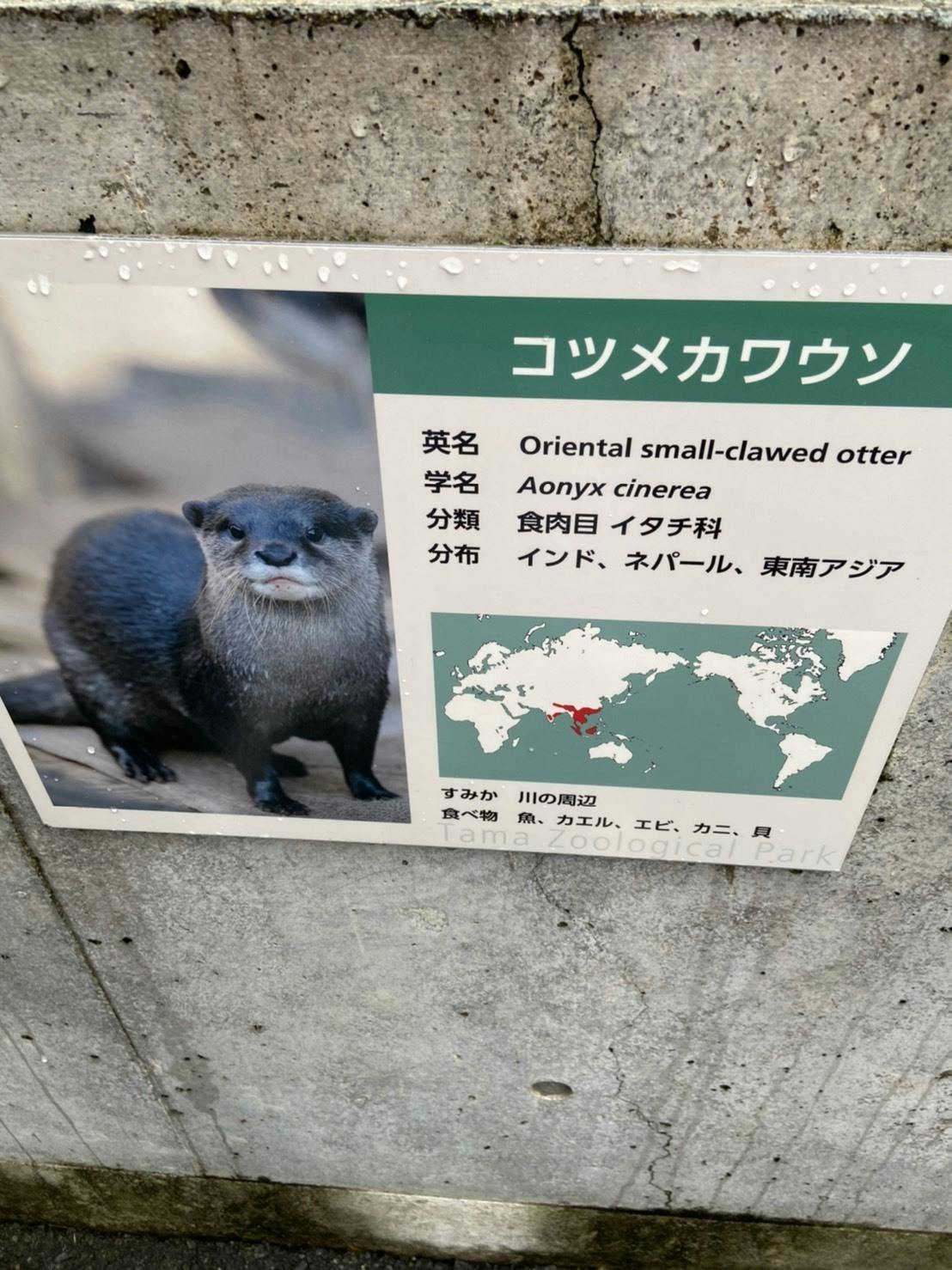 第一回オフ会多摩動物公園へ行ってきました Campfireコミュニティ