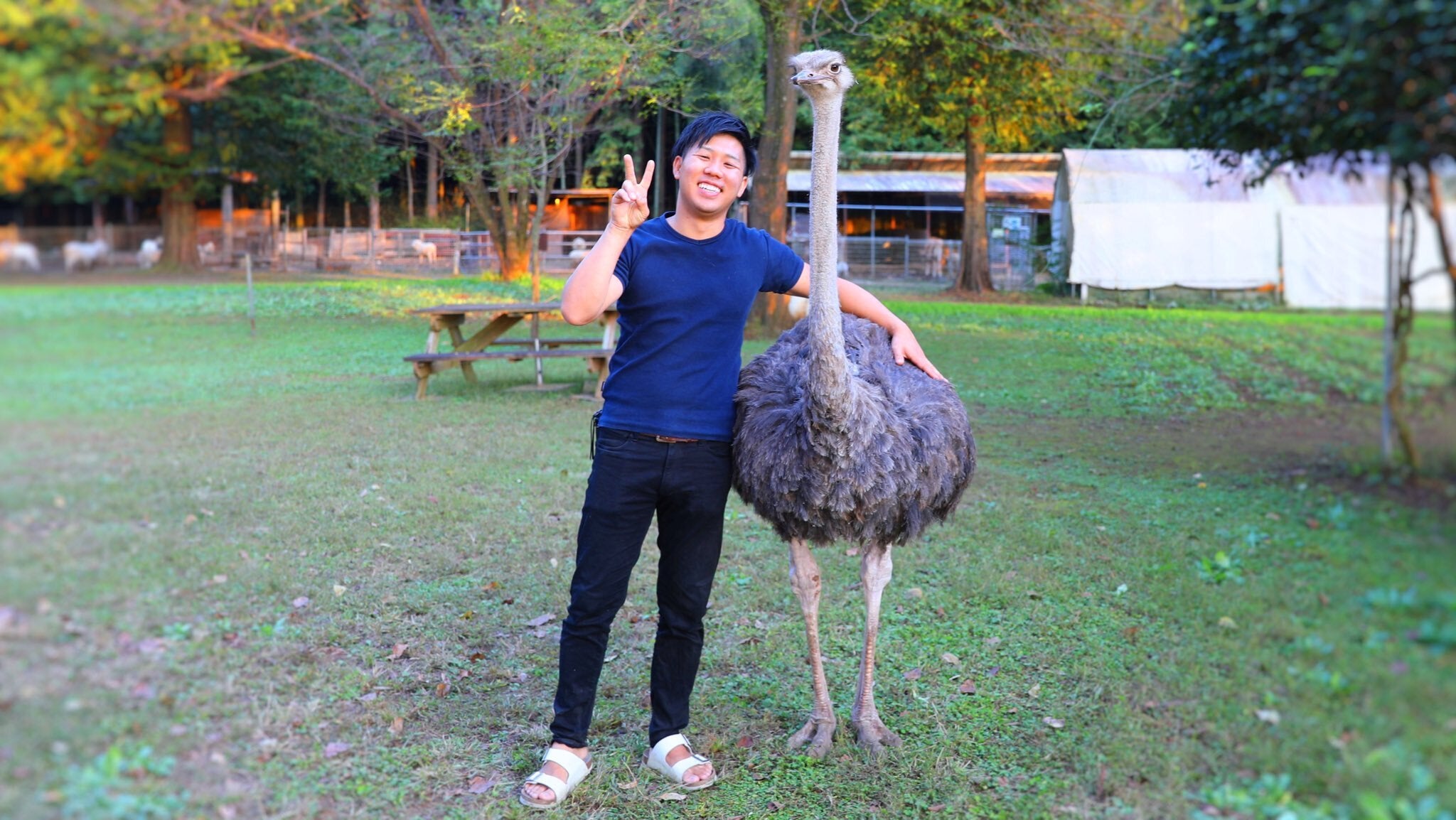 Youtuber ちゃんねる鰐さん 石岡ファームへ来園 Campfire キャンプファイヤー