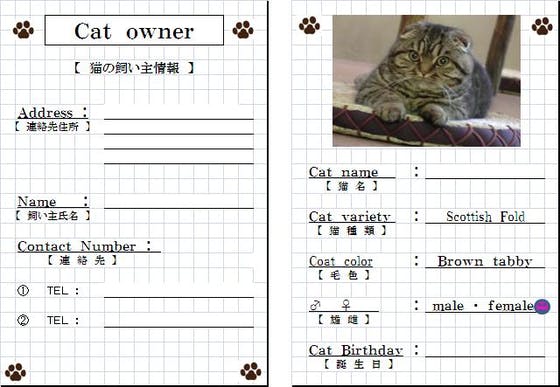 日本初・猫の身分証明書を作りたい。 限定数無料配布プロジェクト