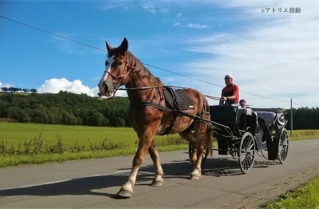 春色3カラー✧ 巨大な骨董馬車引きオルゴール珍品‼️ | tatihome.com