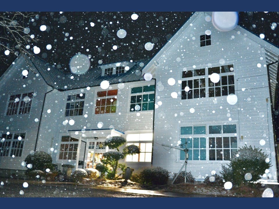 拡大造林期1 Campfire キャンプファイヤー