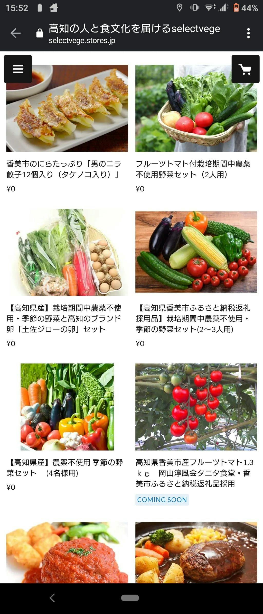 生産者と皆さんを繋ぎたい！ECサイトで全国どこでも高知の食材が味わえる！アクティビティ - CAMPFIRE (キャンプファイヤー)