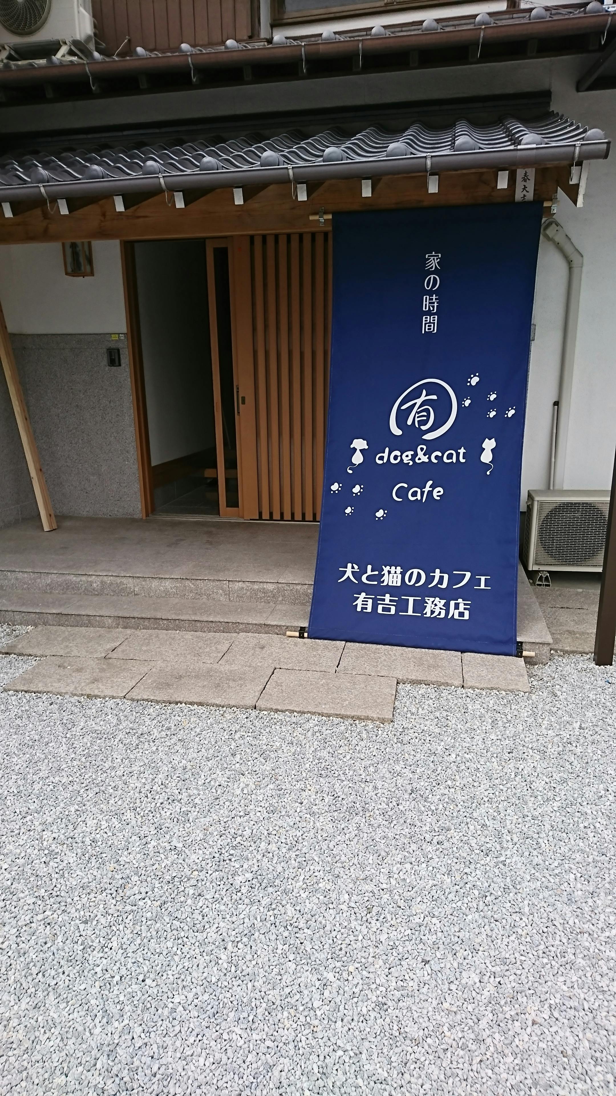 猫カフェ経営をしてみて Campfire キャンプファイヤー