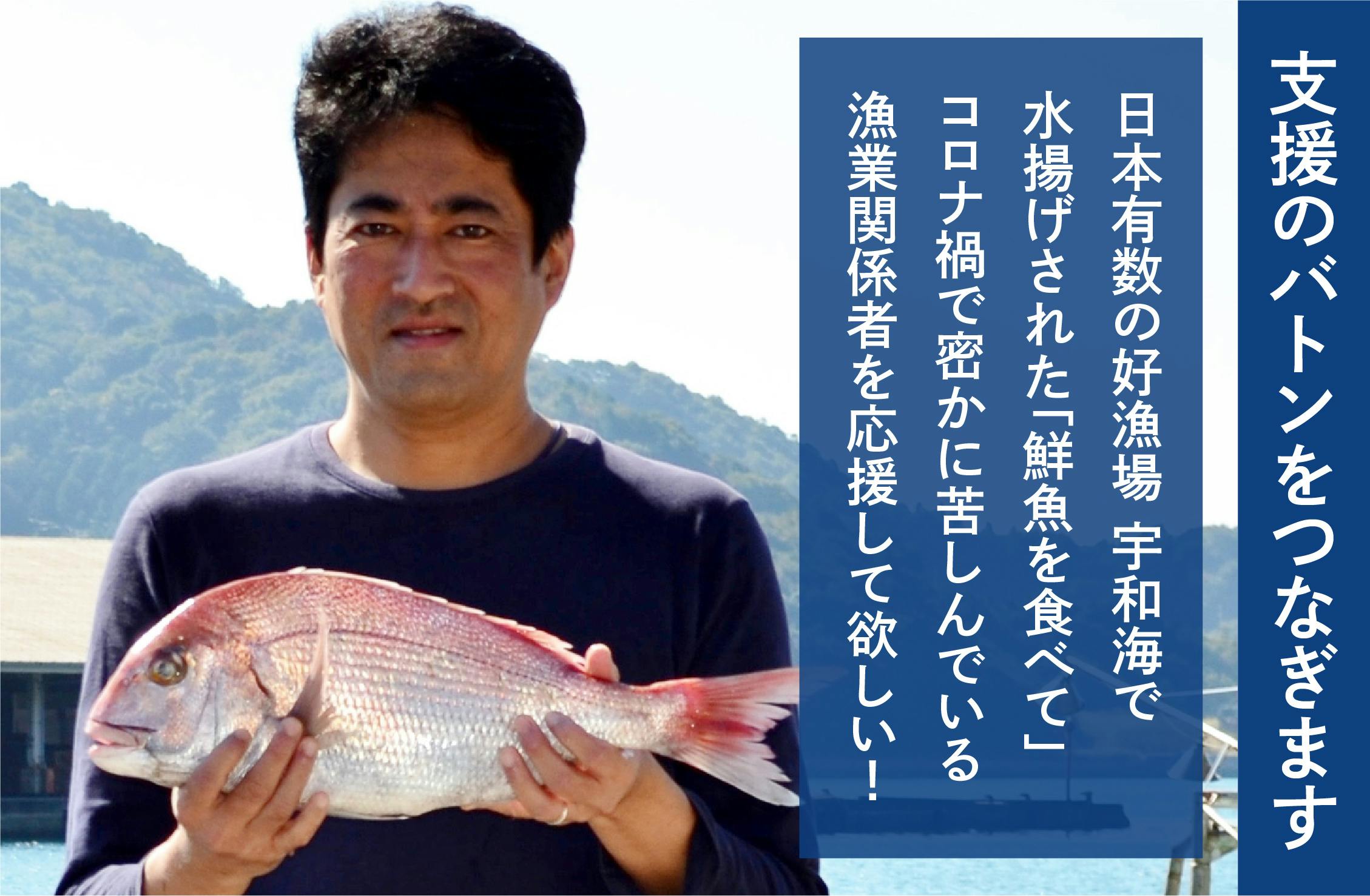 日本有数の好漁場「宇和海」で水揚げされた、八幡浜産の朝穫れ鮮魚を食べて、コロナ禍で苦しむ漁業関　CAMPFIRE　(キャンプファイヤー)