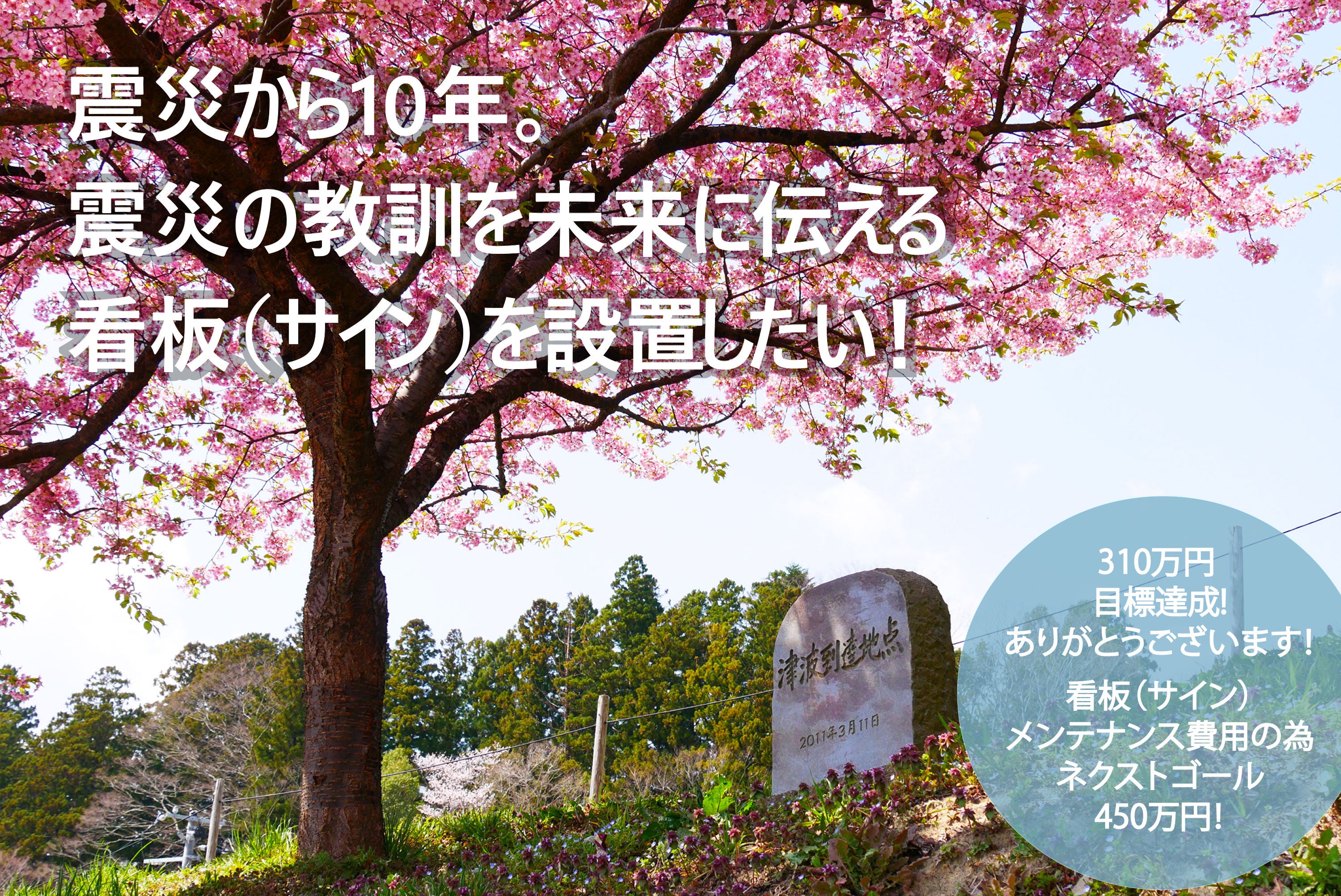 桜ライン311 未来に伝える避難の目印として 看板 サイン を設置します Campfire キャンプファイヤー